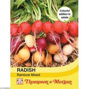 Radish Rainbow Mixed