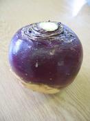 10g Swede Best of All Purple Top