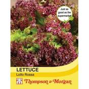 Lettuce Lollo Rossa