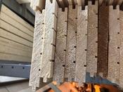 6" X 1" T&amp;G PAO   (5.1mt) Flooring