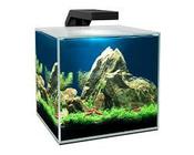 CIANO CUBE 15 AQUARIUM 14L image