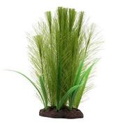 Green Feathered Pland 8