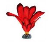 Betta Silk Plant Red