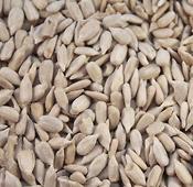 Sunflower Hearts 20Kg