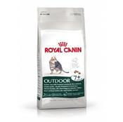 Rc Cat Outdoor  7 400Kg