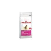 Rc Cat Exigent Savour 400G