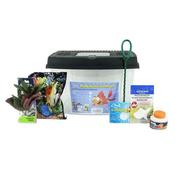 Pal Pen Goldfish Starter Kit