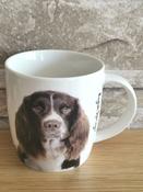 English Springer Mug