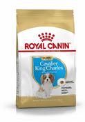 Rc Breed King Char Jr  1.5Kg