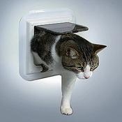 Cat  Flap 4 Way Glass