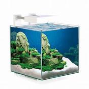 Ciano Nexus Pure 15 Cube Aquarium With LED Light image