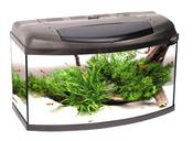 Aqua4Home Aquarium 200Lt