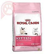 Rc Kitten 34 400G
