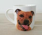 Pitbull Mug