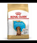 Rc Breed Dachshund Jun 1.5Kg