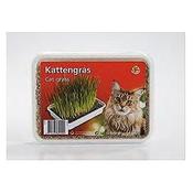 Trixie Cat Grass