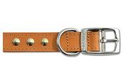 Dog Collar  Tan Stud 22