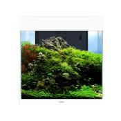 CIANO EN PRO 40 WHITE AQUARIUM 52L WITH FREE CABINET