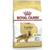 Rc Breed Cocker 25 3Kg