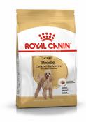 Rc Breed Poodle 1.5Kg
