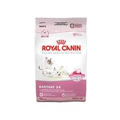 Rc Kitten 34 2Kg