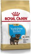 Rc Breed Yorkie Jun 1.5Kg