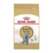 Rc Cat British Shorthair 4Kg