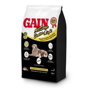 Gain Senior  Dog 3Kg