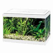 CIANO AQUA 20 AQUARIUM WITH LED LIGHT- 17L WHITE image