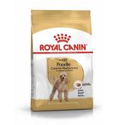 Rc Breed Poodle 7.5Kg