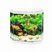 CIANO AQUA 30 WHITE