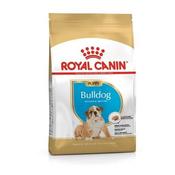 Rc Breed Bulldog Puppy 12Kg