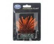 Betta Fern Plant Orange 8Cm image