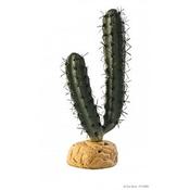 Cactus Exo Terra Barrel