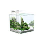 Ciano Nexus 25Lt Cube