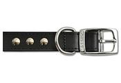 Studded Collar Black 14''