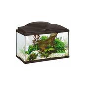 Ciano Aqua 20 Black W-Light
