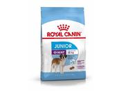 Rc Giant Puppy 3.5Kg