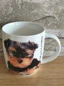 Yokdhire Terrier Puppy Mug