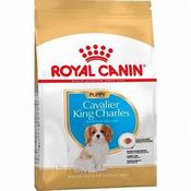 ROYAL CANIN KING CHARLES PUP 1.5Kg image