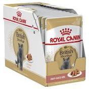 ROYAL CANIN CAT POUCH BRITISH SHORTHAIR 85gx12 image