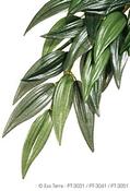 Exo Terra Ruscussilk Plant-Med image