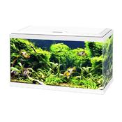 Ciano Aquarium 80 Led