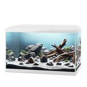 CIANO AQUA 20 CLASSIC 17L WHITE image