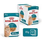 ROYAL CANIN CAT POUCH AGEING 11+ JELLY 85gx12 image