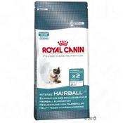 Rc Cat Intense Hairball 400Kg