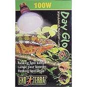 Exo - Day Glo 100Wtt