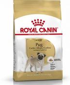 Rc Breed Pug 1.5Kg