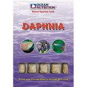 Ocean Daphnia image