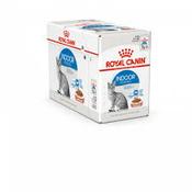 ROYAL CANIN CAT POUCH INDOOR GRAVY 85gx12 image